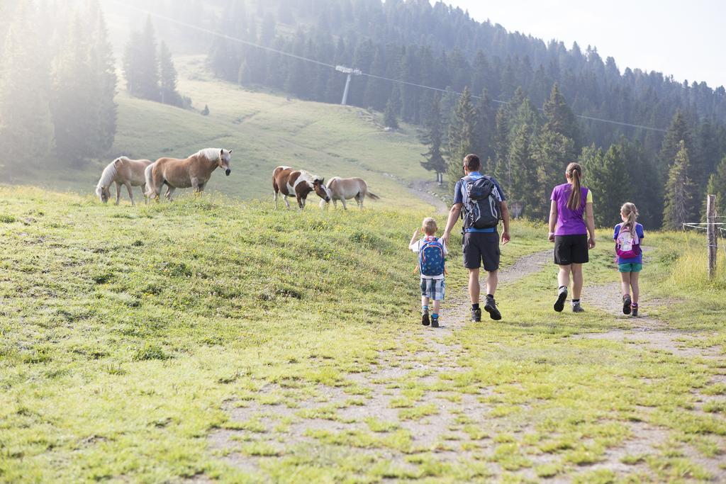Appartmenthaus Martina Zell am Ziller Exteriér fotografie